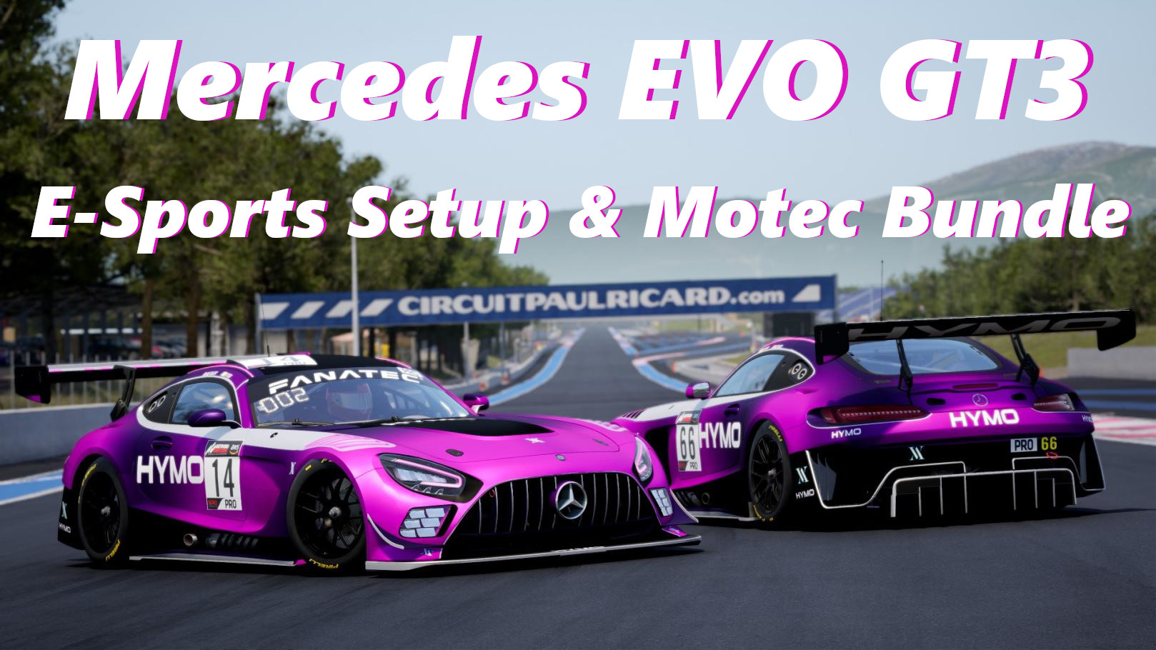 Mercedes Evo Gt E Sports Setup Motec Bundle Share Your Car Setups